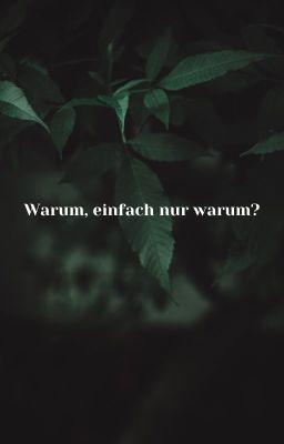 Warum, Einfach Nur Warum