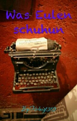 Was Eulen schuhun