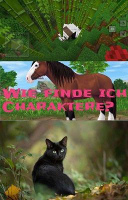 Was halte ich von CARAKTEREN in star stable minecraft und warrior cats? 