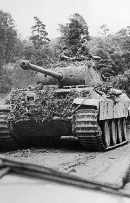 Was the Panther tank good as a combat vehicle?