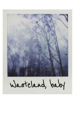 Wasteland, baby - a Wolfstar long fiction