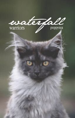 waterfall ࿈ warrior cats fanfic