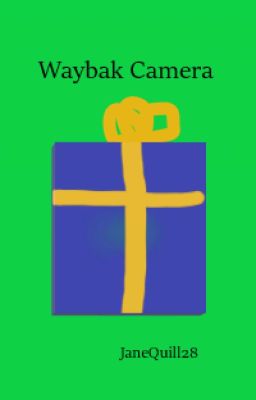 Waybak Camera