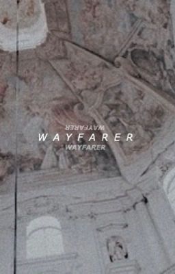 wayfarer | the 100 O.H