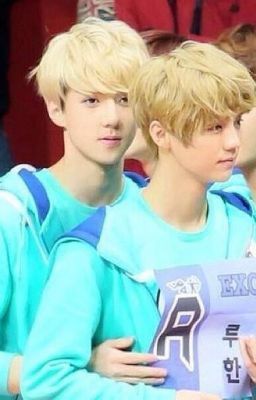 We got married (HunHan)