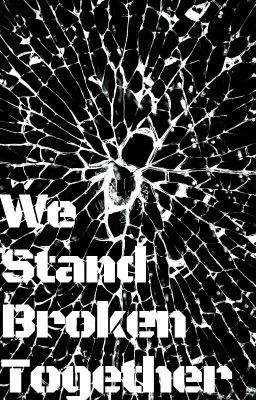 We Stand Broken Together(Furry Harem x Male Reader).