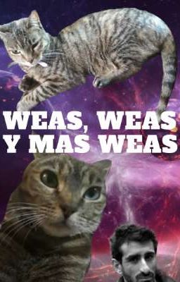 WEAS, WEAS Y MÁS WEAS