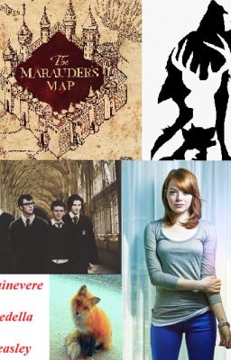 Weasley: Marauders Era