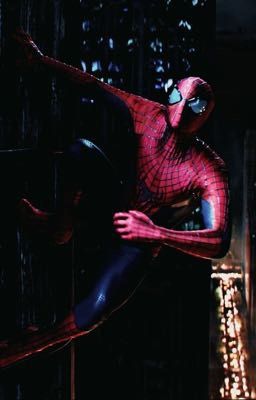 Webs of fate ( y/n x spider man )