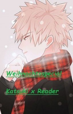 Weihnachtsspecial Katsuki x Reader