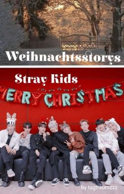 Weihnachtsstorys / Stray Kids