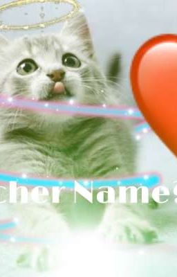 Welcher Name?