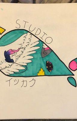 Welcome to Studio Narwhal 