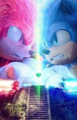 Welcome To The Next Level! - (Sonic 2) [Sonic Movie x Fem. Reader]