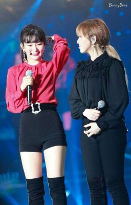 Wendy ft. Seulgi ➳ Hoa thạch thảo