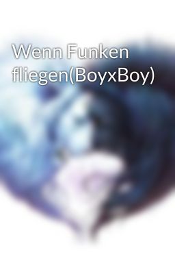 Wenn Funken fliegen(BoyxBoy) 