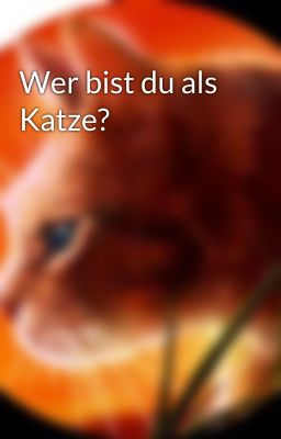 Wer bist du als Katze?