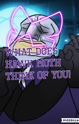 What does Hawk Moth think of you!