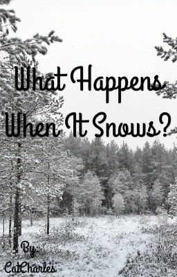 What Happens When It Snows?