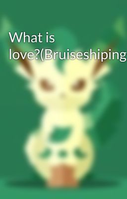 What is love?(Bruiseshiping)