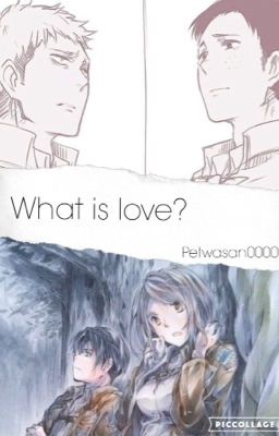 What is love? (Jean x Marco and Levi x Petra)