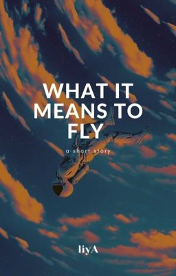 What It Means To Fly | ✓