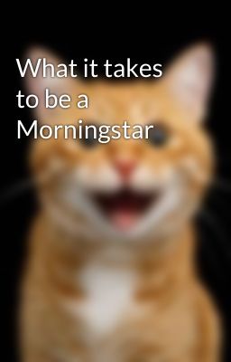 What it takes to be a Morningstar 