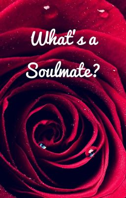 What's a soulmate?