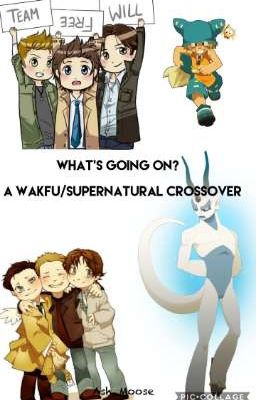 What's Going On?     A Wakfu/Supernatural crossover 