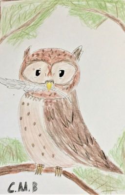 What the Owl Found in Her Desk; A Collection of Random Writing Works and Art