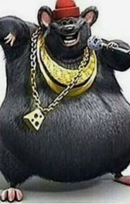 whats up guys its BIGGIE CHEESE