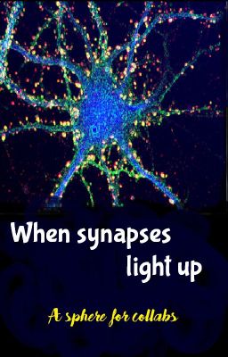 when synapses light up