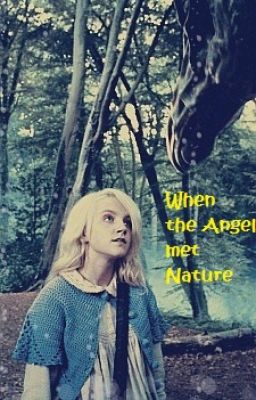 When the Angel met Nature