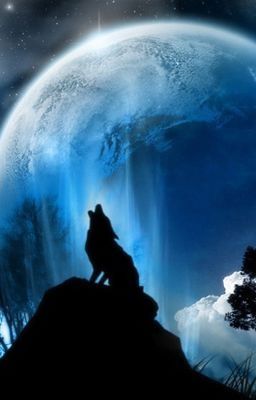 When Wolves Howl