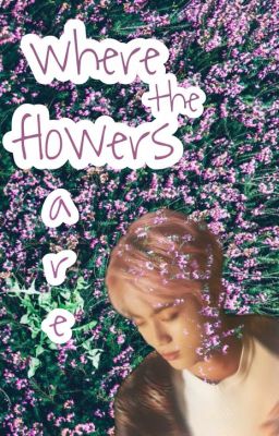 where the flowers are || k.sj