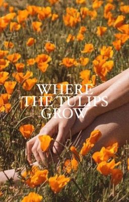 where the tulips grow, 𝐊𝐘𝐋𝐎 𝐑𝐄𝐍