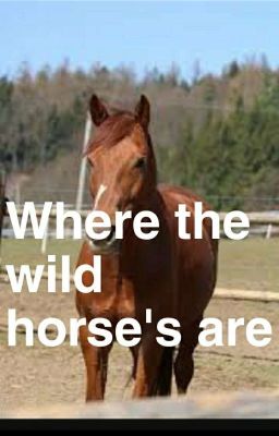 Where The Wild Horse's Are//Eyeball Chambers\\