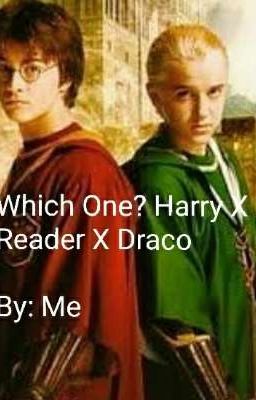 Which One? Harry Potter X Reader X Draco Malfoy