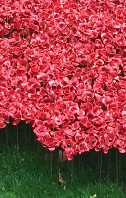 White Feather, Red Petals