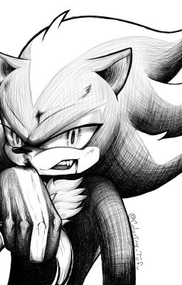 White Noise (Shadow The Hedgehog X Reader)