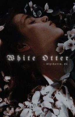 White Otter || Dramione (Draco Malfoy)