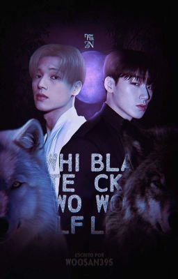 White Wolf Black Wolf ◆ Woosan