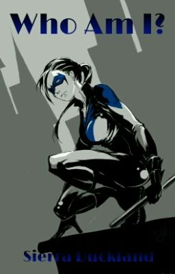 Who Am I? (Nightwing/Young Justice FanFic) {ON HOLD}