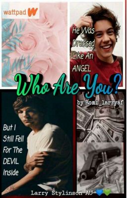 Who Are You?  {L.S} 