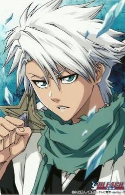 Who I Truly Am (Hitsugaya Toshirou X Reader) 