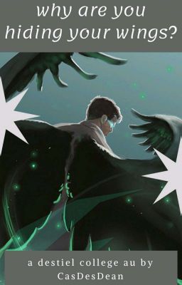 Why Are You Hiding Your Wings? | Destiel College AU