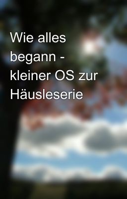 Wie alles begann - kleiner OS zur Häusleserie