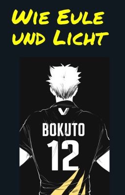 Wie Eule und Licht ( Bokuto x OC )