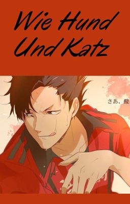 Wie Hund und Katz (Kuroo x OC)