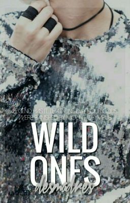 Wild Ones || 5sos